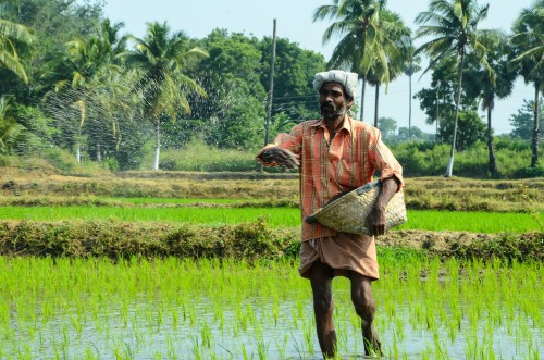 Agro Economy & Agro Waste Photos